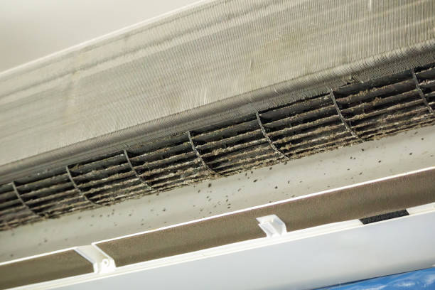 Best HVAC Air Duct Cleaning  in Crandall, TX
